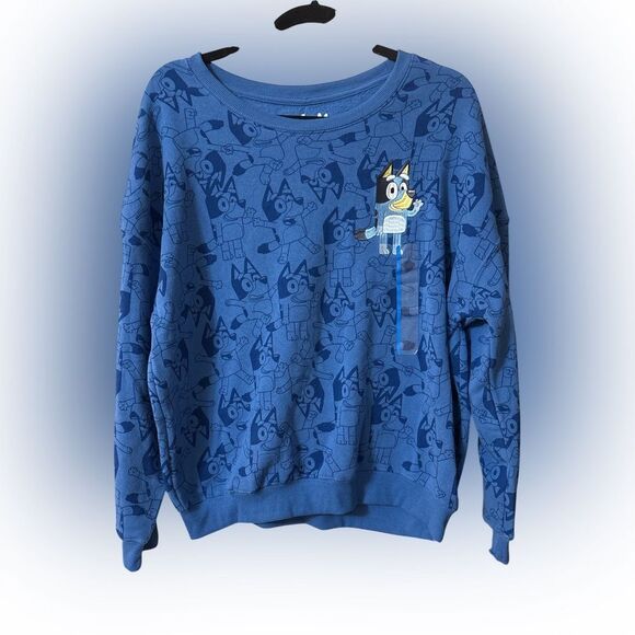 Nwt adult men’s Bluey Dad sweatshirt - Picture 1 of 2